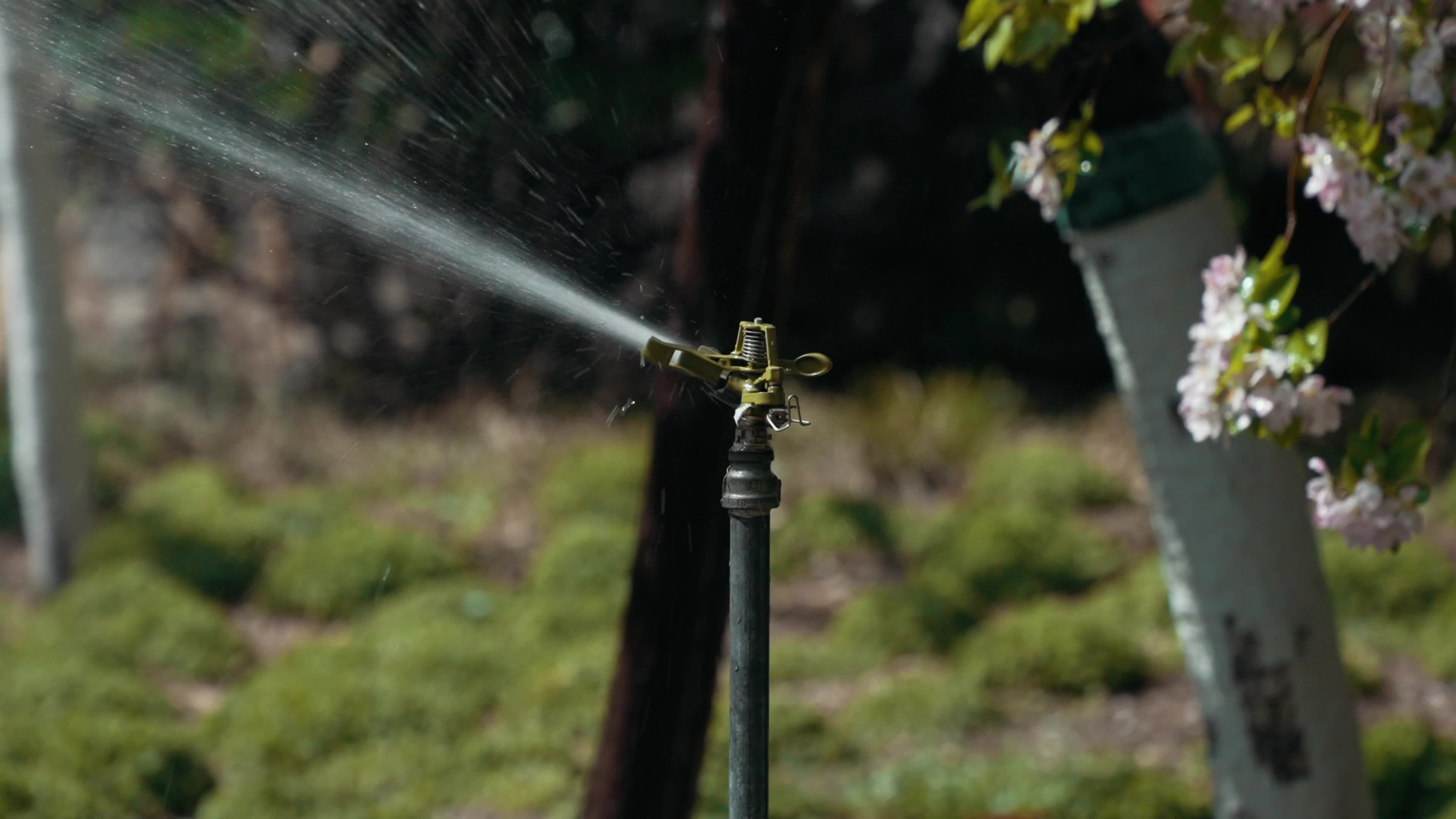 Grass Rotary Sprinkler