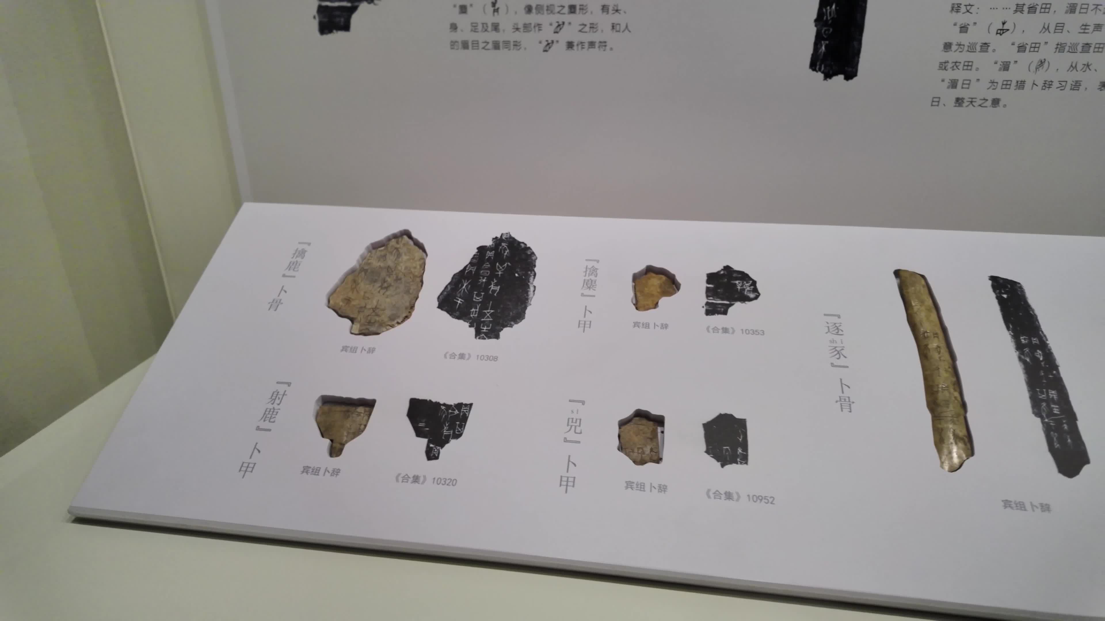 Chinese Shang Dynasty oracle bone inscriptions on display at the museum