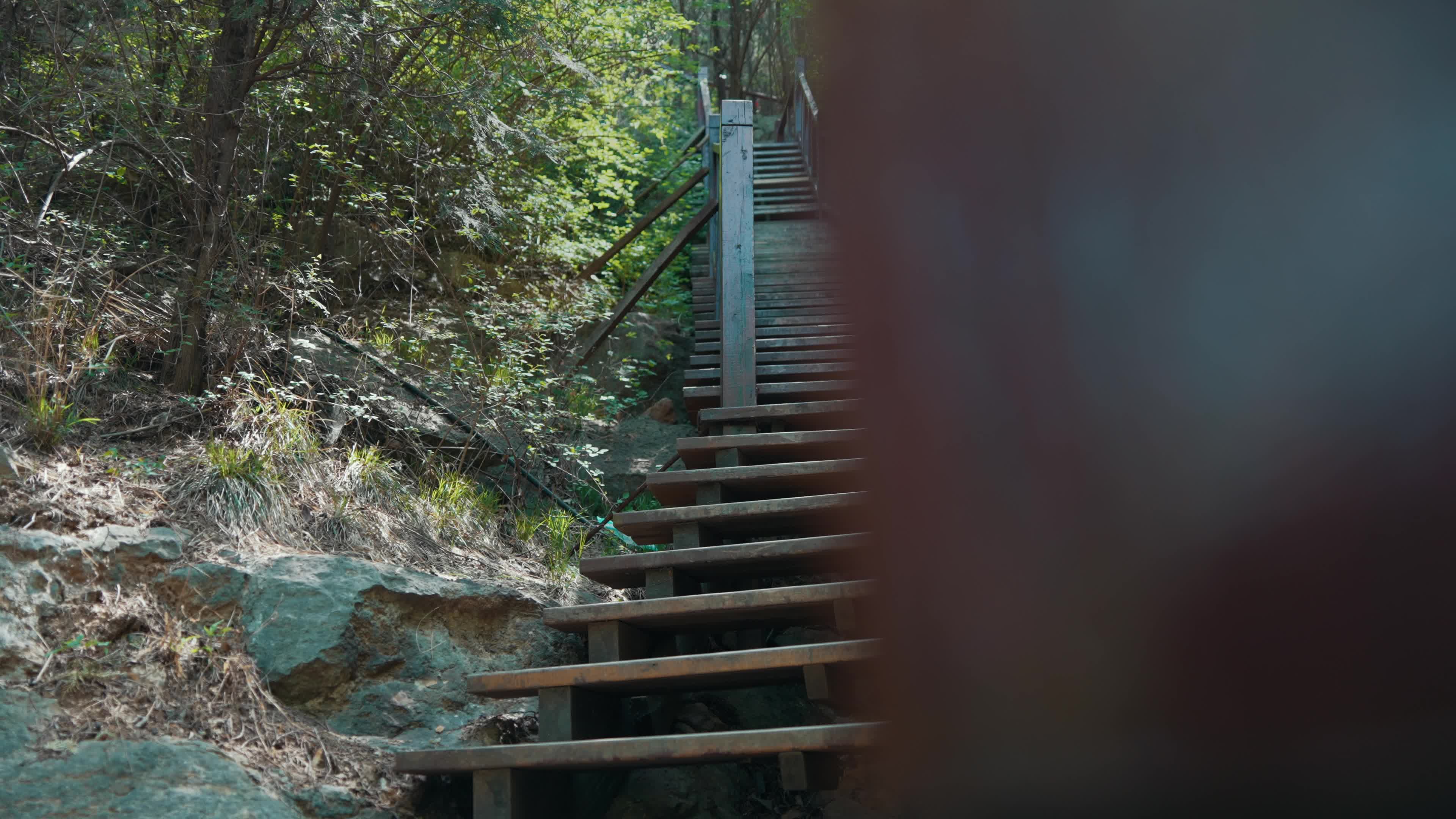 The wooden walkway on the mountain